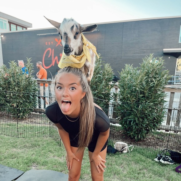 Meet your Posher, Kamarie - Picture 1 of 1